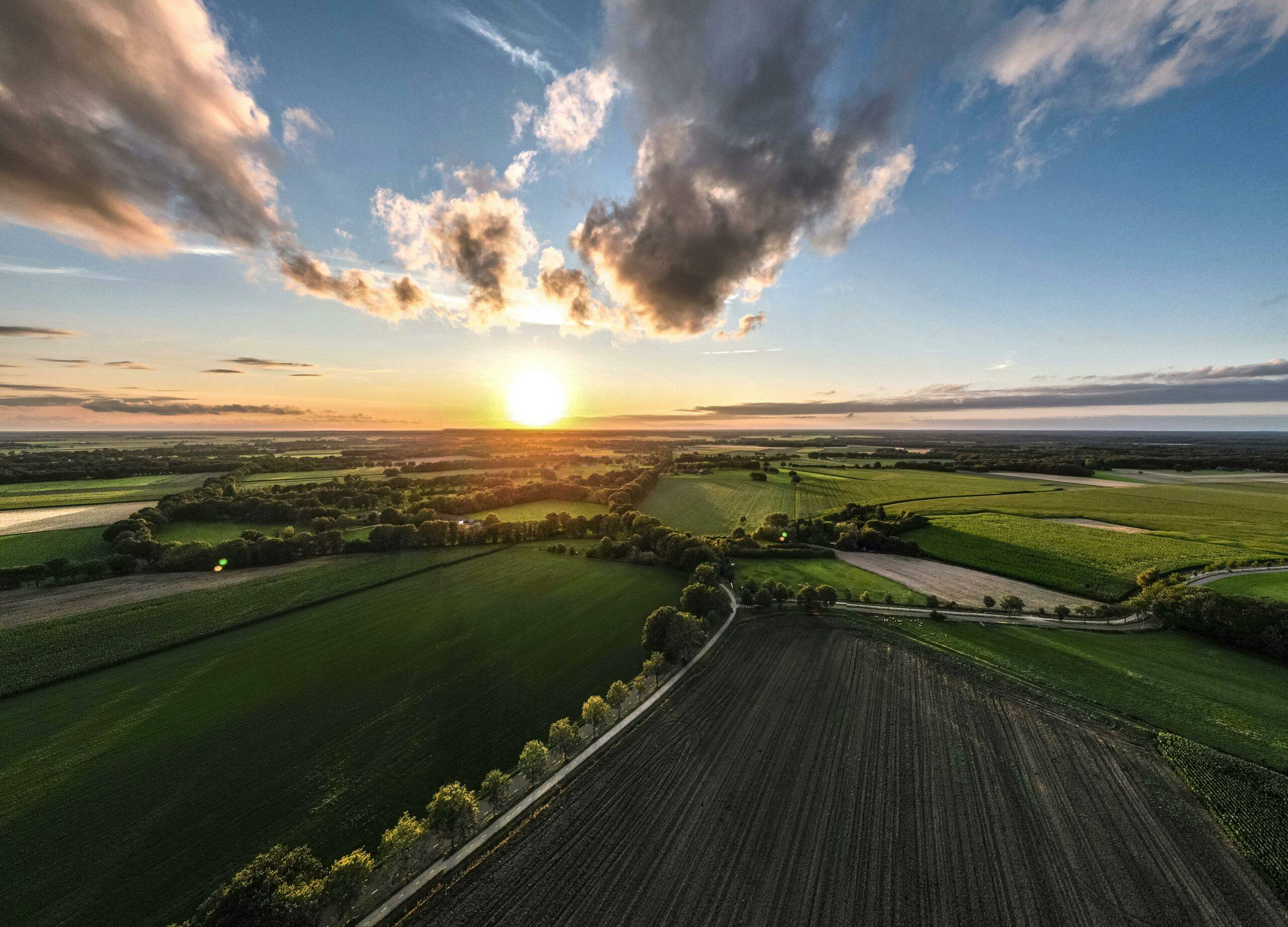 Luftaufnahme weiter Ackerflächen bei tief stehender Sonne: im Vordergrund ein frisch bearbeiteter Acker an einer von Bäumen gesäumten Landstraße, dahinter grüne Felder und Baumreihen bis zum Horizont