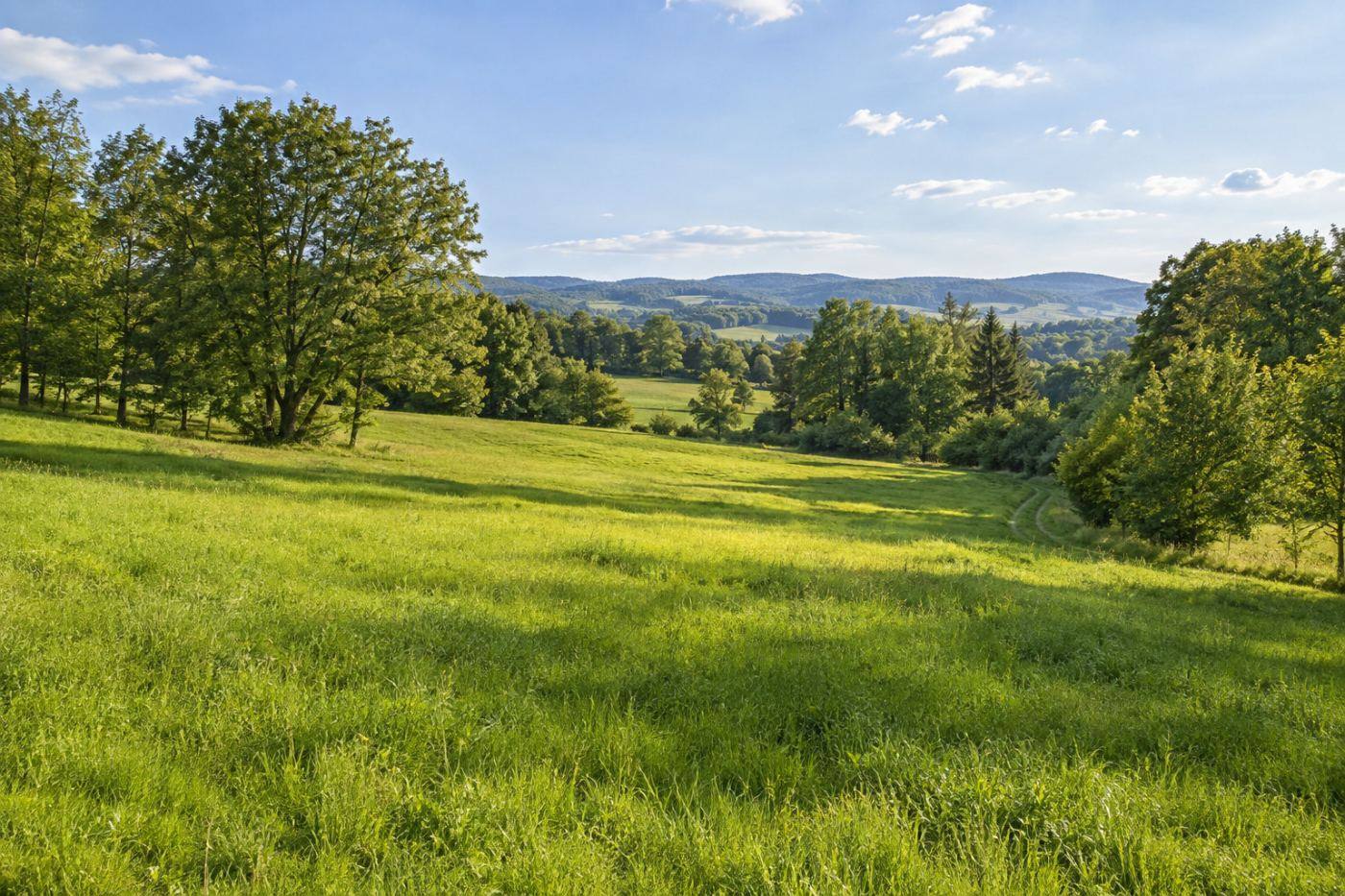 Sonnige Wiese mit Laubbäumen und bewaldeten Hügeln im Hintergrund